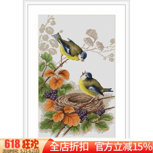 包邮精准印花正品DMC十字绣套件 客厅玄关小幅画 两只小鸟
