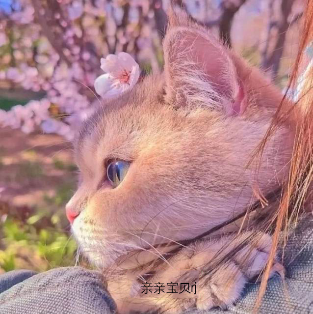 新款印花正品DMC十字绣客厅卧室儿童房卡通动物画桃花猫咪