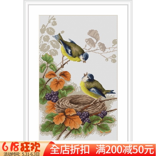 包邮精准印花正品DMC十字绣套件 客厅玄关小幅画 两只小鸟 居家布艺 十字绣套件 原图主图