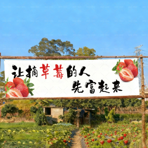 草莓采摘田园风农场装饰布