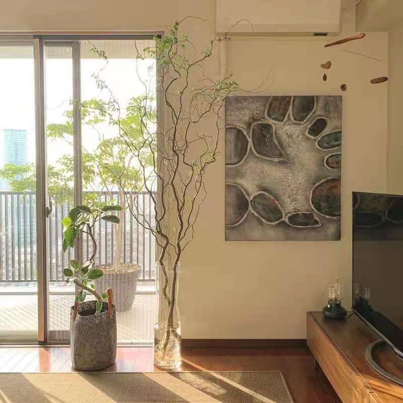 客厅耐寒大型盆栽好养水培植物