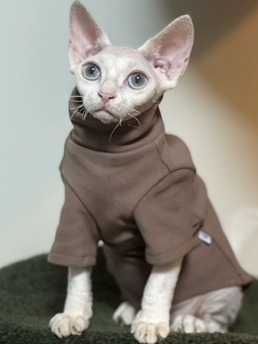 Delong спонтанно нагреть осень и зимний согревающий дновой свитер, безволосочный кот, Sphinx dvinis abi