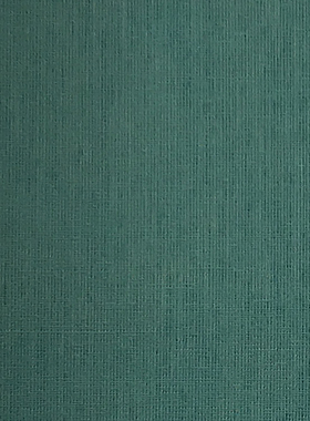 埃莉诺WIZARDS无缝墙布15L-19314 19322 19505 19502 19311 19327