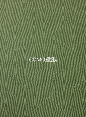 现货 HW比利时进口Hooked On Walls现代简约风 绿色墙纸壁纸19508