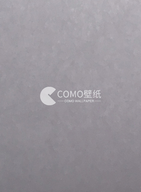 诺奇兄弟 商业空间TC墙纸RJ02001 RJ02003 R86301 R86501 R007004