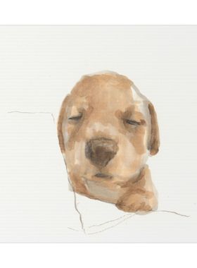 【限时定制】小尺寸水彩头像，题材不限