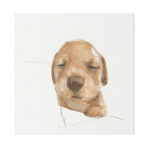 【限时定制】小尺寸水彩头像，题材不限