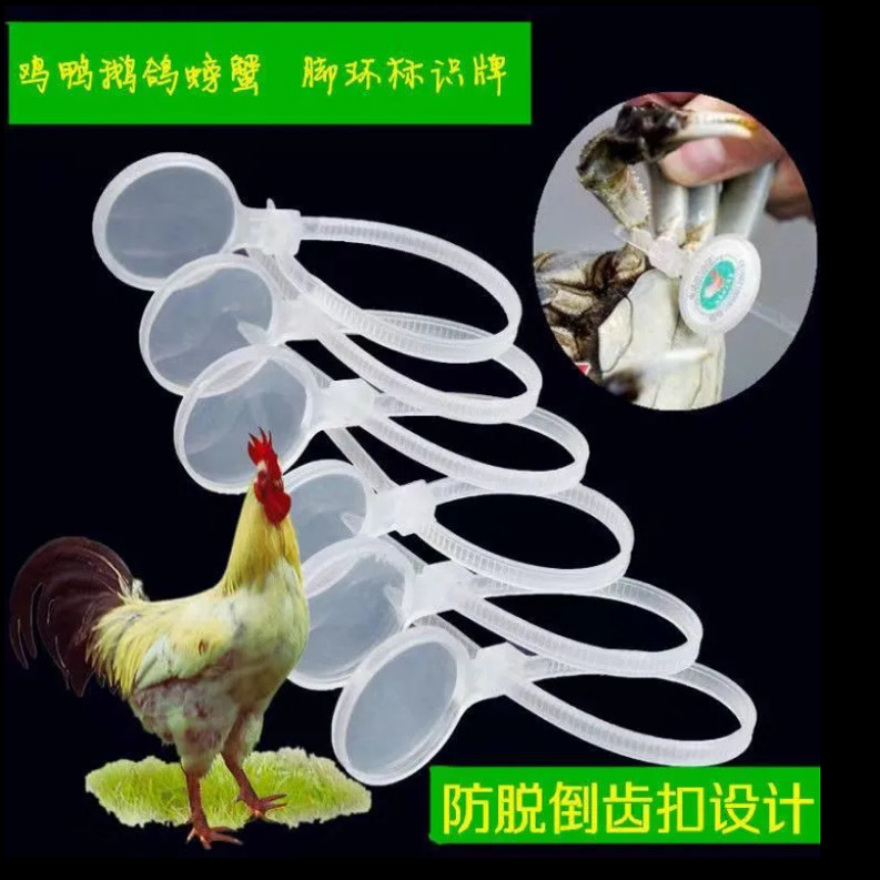 鸡脚环鸡鸭鹅禽类扎带订制螃蟹扎畜牧/养殖器械