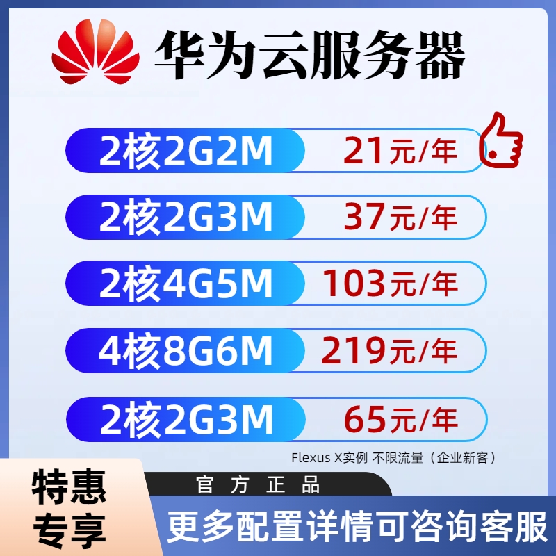 华为云服务器轻量云主机租赁天翼云电脑软件数据库游戏远程连接用