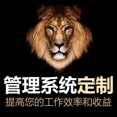 英文软件系统定制erp进销存出入仓库存生产销售订单企业客户管理