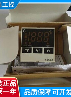 温控E5CSVE5CSZR1TQ1TQTDRTDR1TDQ1TDR1TQ1TBF500