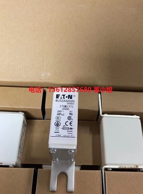 170M1362 170M1364 170M1363 170M1365 170M1366熔断器保险管全新