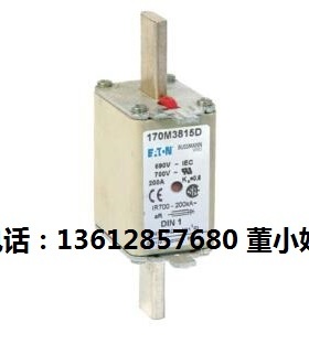 170M4863D 170M4864D 170M4865D 170M4866D保险管熔断器BUSSMANN
