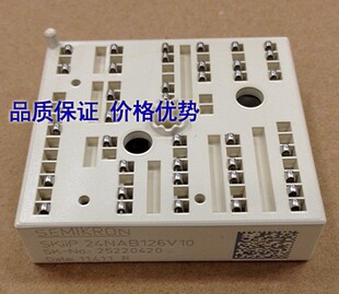 全新原装SKIIP23NAB126V10德国西门康模块正品现货