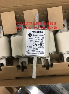 BUSSMANN熔断器170M3016 170M3017 170M3018 170M3015保险管伊顿