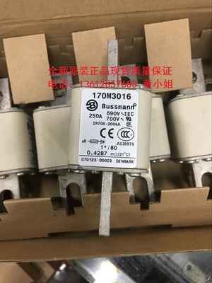 伊顿熔断器170M3019 170M3020 170M3021保险管BUSSMANN全新原装