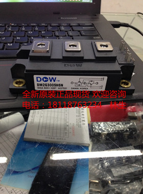 DM2G300SH6N 300A 600V DM2G400SH6N 400A韩国DW大卫IGBT模块原装
