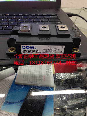DM2G300SH6N 300A 600V DM2G400SH6N 400A韩国DW大卫IGBT模块原装