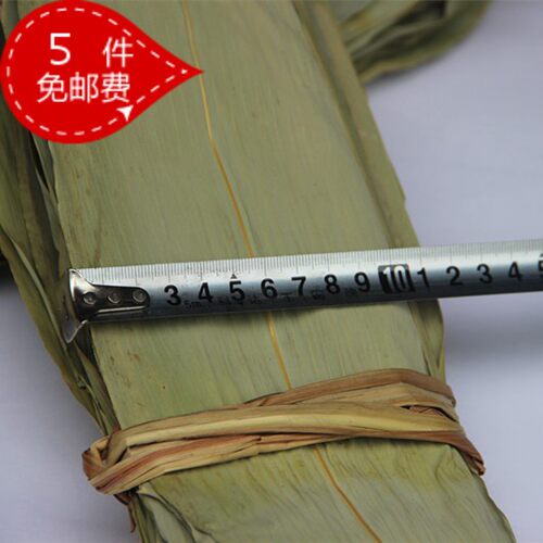 新鲜直销大号精选500g干粽叶