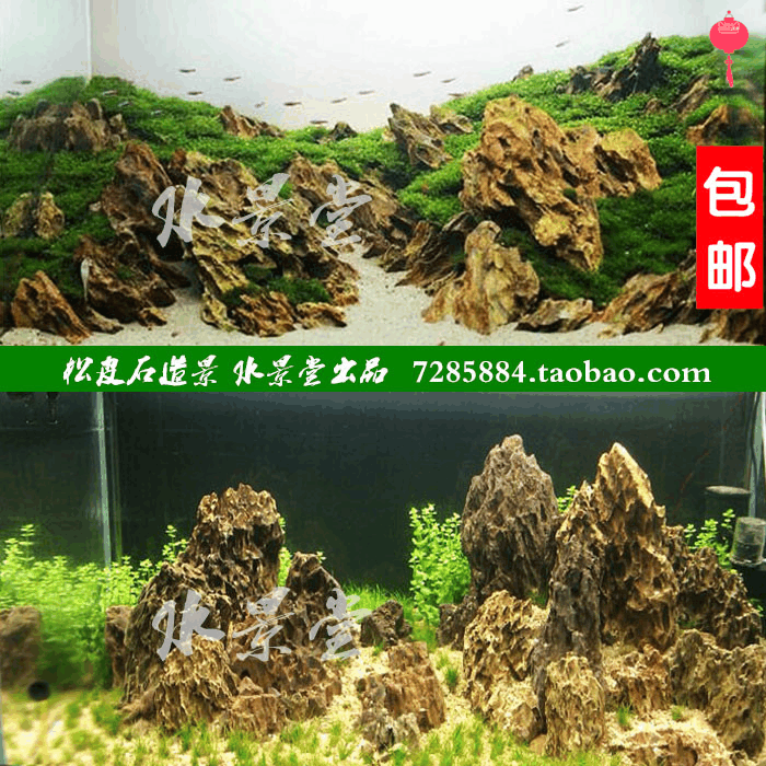松皮石鱼缸装饰造景 鱼缸水草泥小型鱼缸水草懒人尼特利