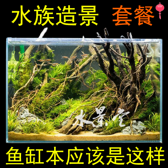 杜鹃根沉木鱼缸懒人 草缸造景水族造景水草造景套餐尼特利