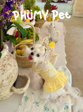 PHUMY PET宠物服装秋季新款黄色印花圆领蛋糕裙比熊雪纳瑞泰迪