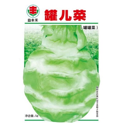 四川罐儿菜种子罐罐菜芥菜种籽孑