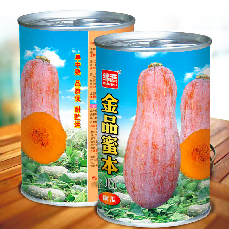 绵蔬金品蜜本南瓜种子南瓜菜种籽