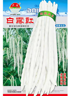 白露豇短白胖豇豆种子甜糯肉豇江豆好吃豆角种籽四川春夏季蔬菜孑