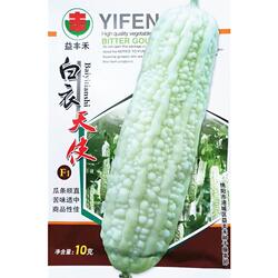 大白苦瓜种子白衣天使长白皮苦瓜种籽蓝山苦瓜四川春季田园蔬菜孑