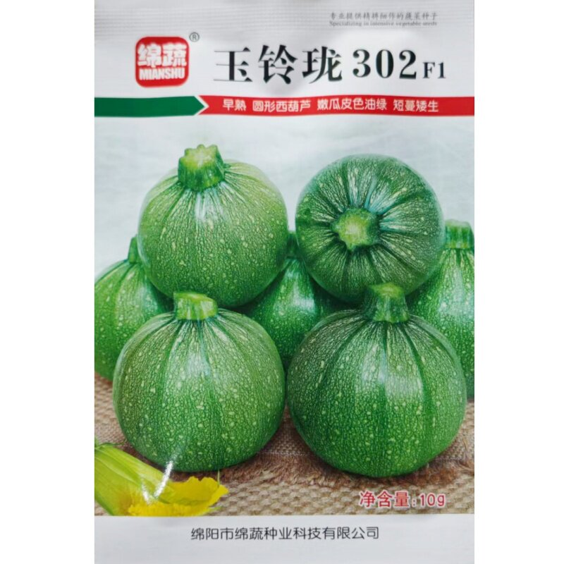 玉铃珑圆西葫芦瓜种子西葫芦南瓜种籽小青瓜四川春季田园蔬菜种孑