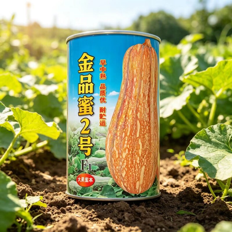 绵蔬大果蜜本南瓜种子味甜蔬菜籽