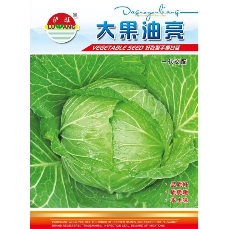 大果油亮甘蓝种子包菜卷心菜种籽