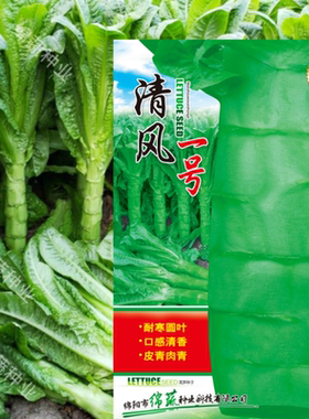 青皮青肉莴笋种子耐寒清香蔬菜籽