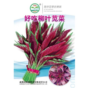 红柳叶苋菜种子白尖叶苋菜花红圆叶苋菜种籽四川春夏季田园蔬菜孑