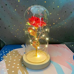 LED Valentine Day Gift For Girlfriend Eternal Rose Light 24K