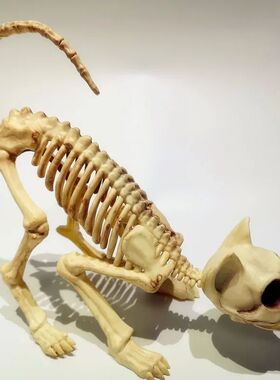 Creative Halloween Scary Skeleton Decoration Crouching Cat S