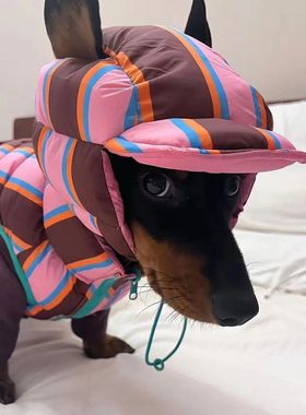 Winter Warm Dog Cotton Coat For Small Medium Puppy Bichon Te