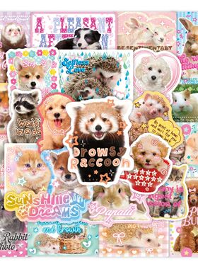 50Pcs Retro Cute Cartoon Scrapbook Sticker Kawaii Puppy Kitt