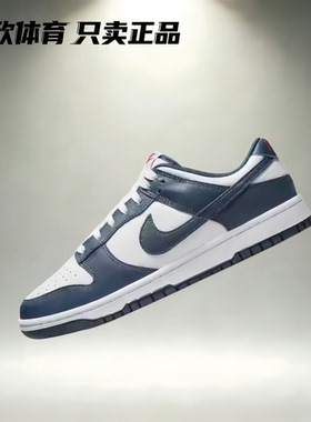 Nike Dunk Low Retro皮革经典防滑耐磨轻便低帮板鞋DD1391-400