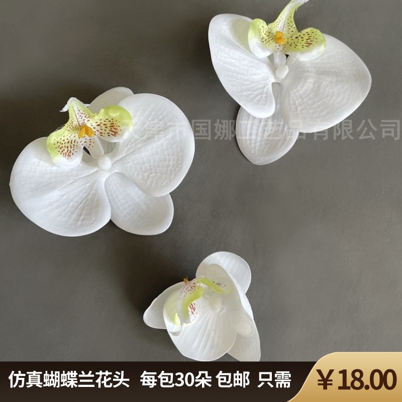 仿真人造蝴蝶兰花3d定型胶片婚庆