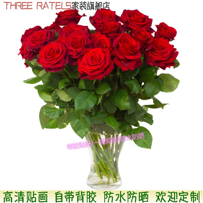 红玫瑰爱心花瓶贴画深粉贴墙印花冰箱门窗床头贴纸自贴浪漫装饰画