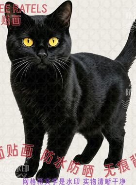 黑猫玄猫镇宅自粘墙贴纸防水转运