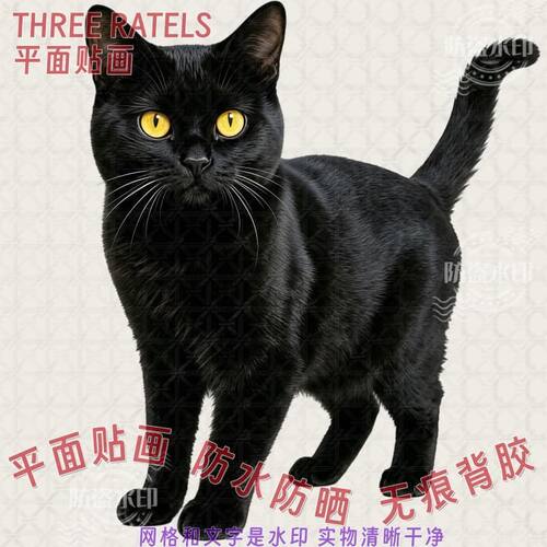 黑猫玄猫镇宅自粘墙贴纸防水转运