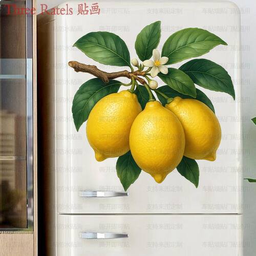 柠檬枝叶水果镂空贴画餐厅门贴墙上冰箱马桶柜门瓷砖贴纸家居装饰