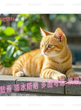 猫咪橘猫自贴画装饰画家用书房客厅餐厅贴纸墙面贴纸防水遮丑贴画