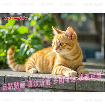 猫咪橘猫自贴画装饰画家用书房客厅餐厅贴纸墙面贴纸防水遮丑贴画