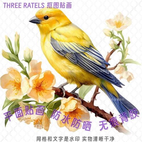 金丝雀花鸟图案小鸟自粘贴画贴墙