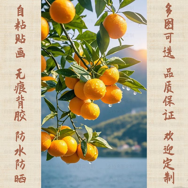 桔子大吉大利山水贴画自粘装饰画墙贴吉祥如意贴纸餐厅墙上遮丑画