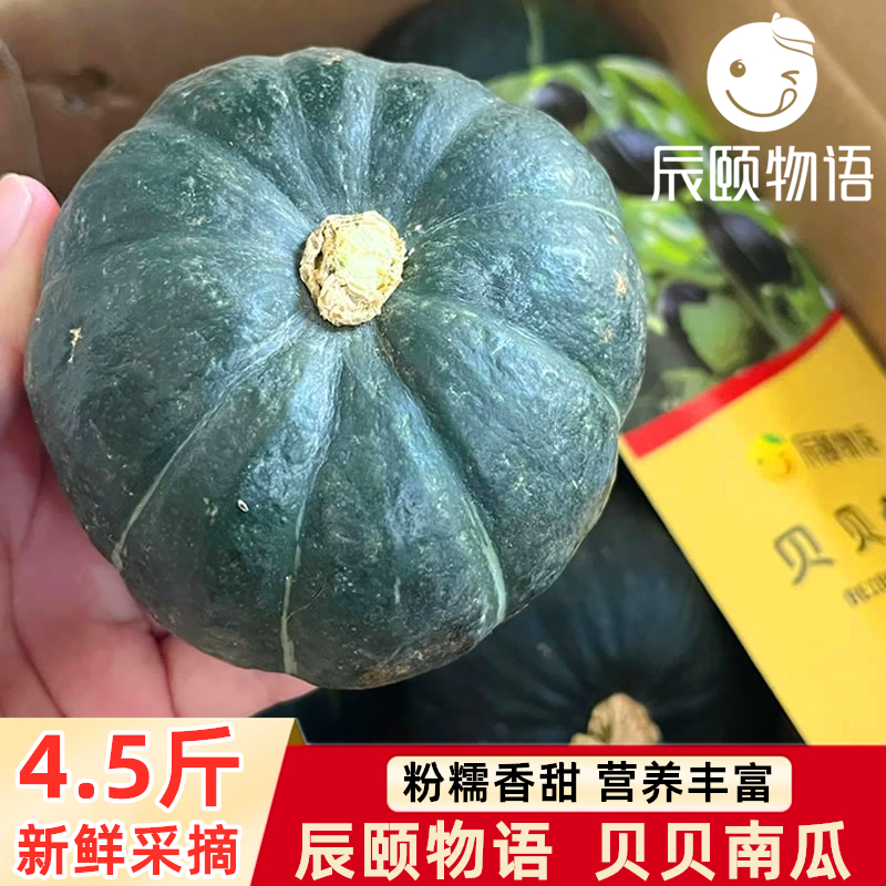 辰颐物语贝贝南瓜板栗味小南瓜新鲜蔬果老少宝宝辅食板栗南瓜